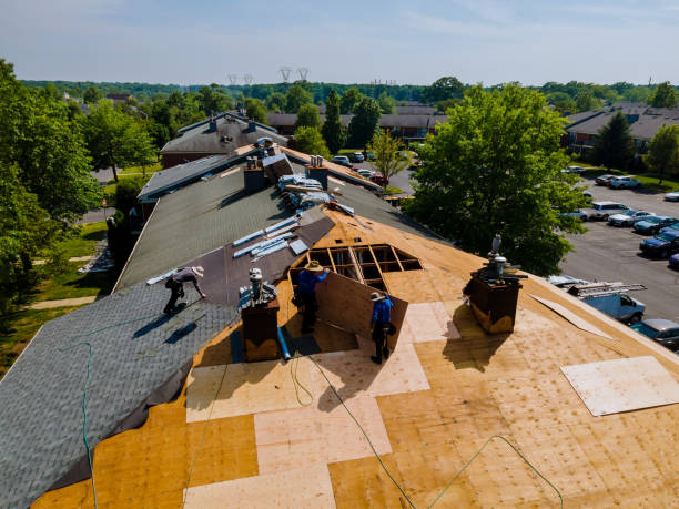 Quick and Trustworthy Emergency Roof Repair Services in Spotsylvania Courthouse, VA